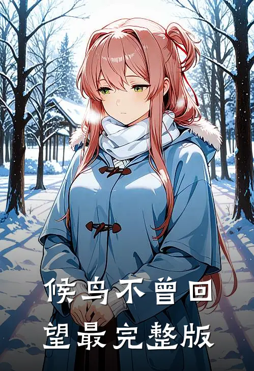 候鸟不曾回望最完整版