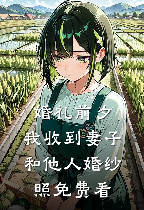 婚礼前夕，我收到妻子和他人婚纱照免费看