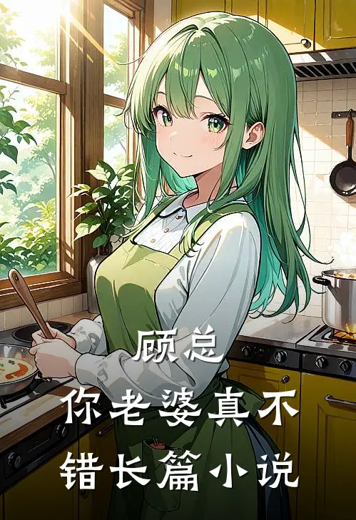 顾总，你老婆真不错长篇小说