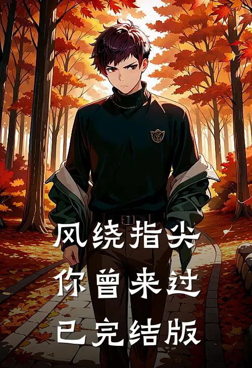 风绕指尖，你曾来过已完结版