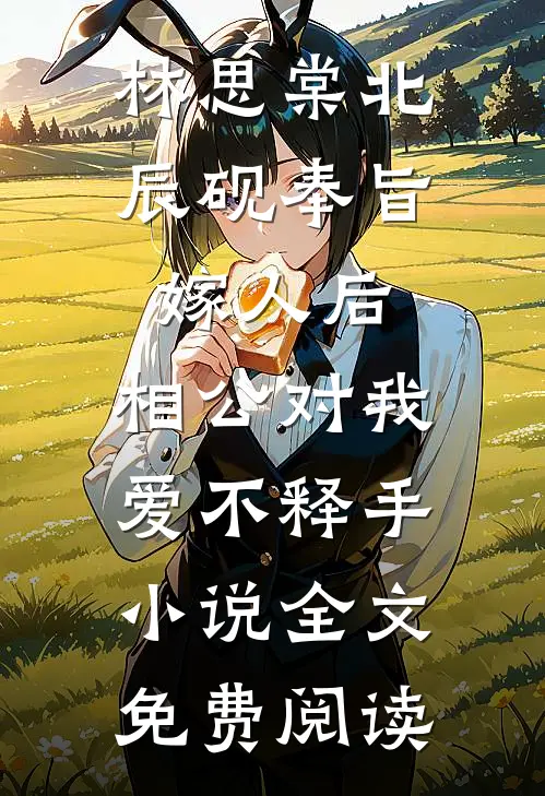 林思棠北辰砚奉旨嫁人后，相公对我爱不释手小说全文免费阅读