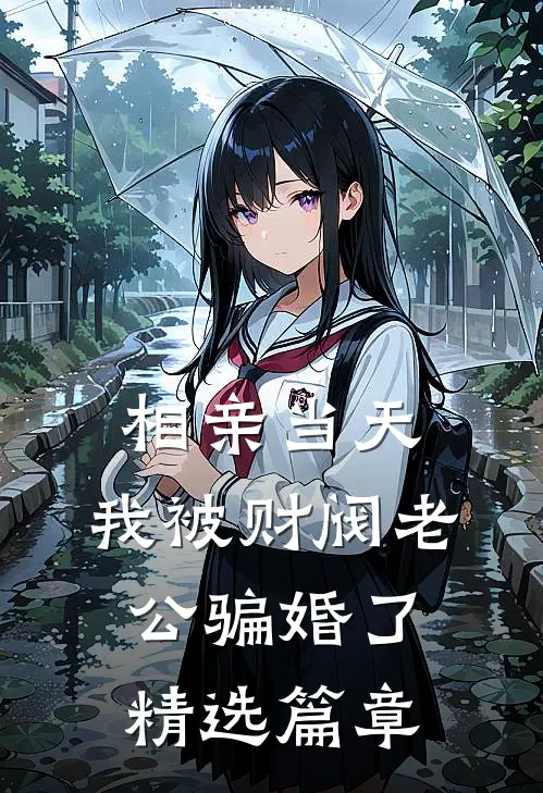 相亲当天，我被财阀老公骗婚了精选篇章