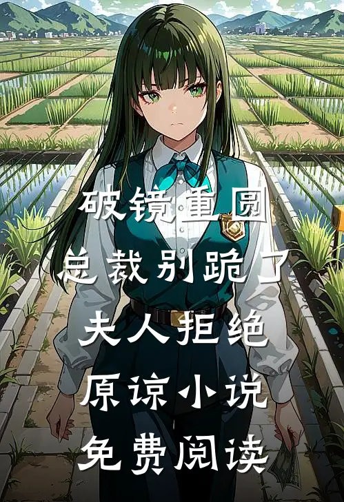 破镜重圆：总裁别跪了，夫人拒绝原谅小说免费阅读