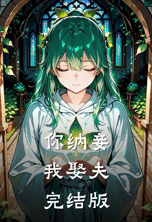 你纳妾，我娶夫完结版