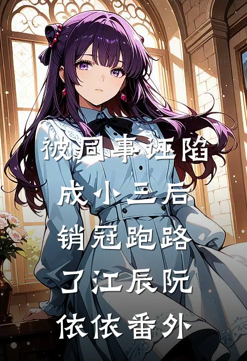 被同事诬陷成小三后，销冠跑路了江辰阮依依番外