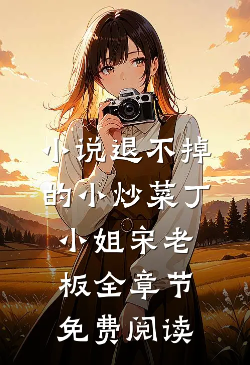 小说退不掉的小炒菜丁小姐宋老板全章节免费阅读