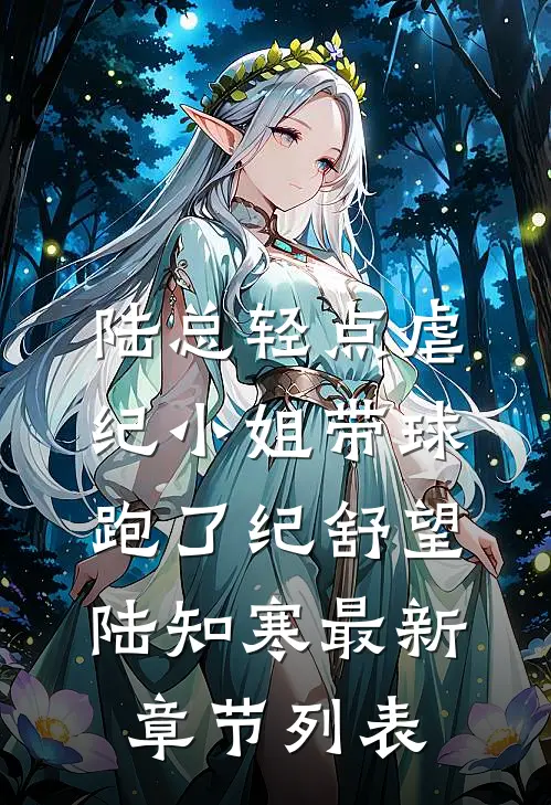 陆总轻点虐，纪小姐带球跑了纪舒望陆知寒最新章节列表