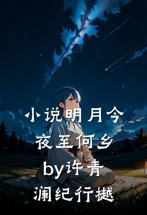 小说明月今夜至何乡by许青澜纪行樾