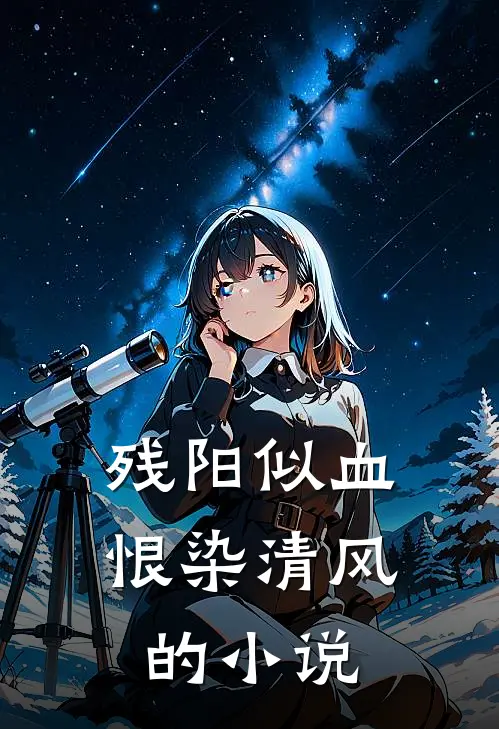 残阳似血，恨染清风的小说
