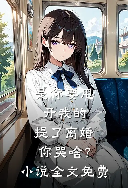 是你要甩开我的，提了离婚你哭啥？小说全文免费