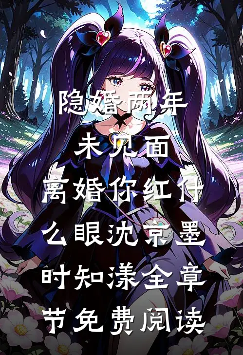 隐婚两年未见面，离婚你红什么眼沈京墨时知漾全章节免费阅读