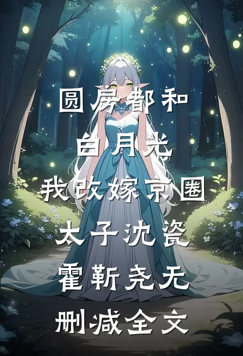 圆房都和白月光，我改嫁京圈太子沈瓷霍靳尧无删减全文