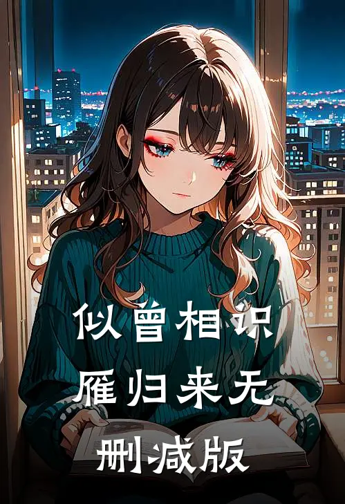 似曾相识雁归来无删减版