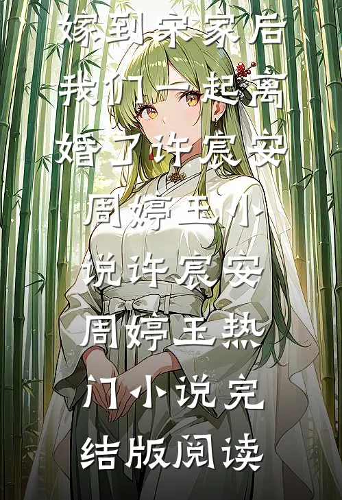 和闺蜜一起嫁到宋家后，我们一起离婚了许宸安周婷玉小说许宸安周婷玉热门小说完结版阅读