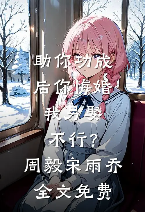 助你功成后你悔婚我另娶，不行？周毅宋雨乔全文免费