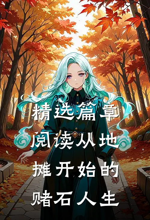 精选篇章阅读从地摊开始的赌石人生