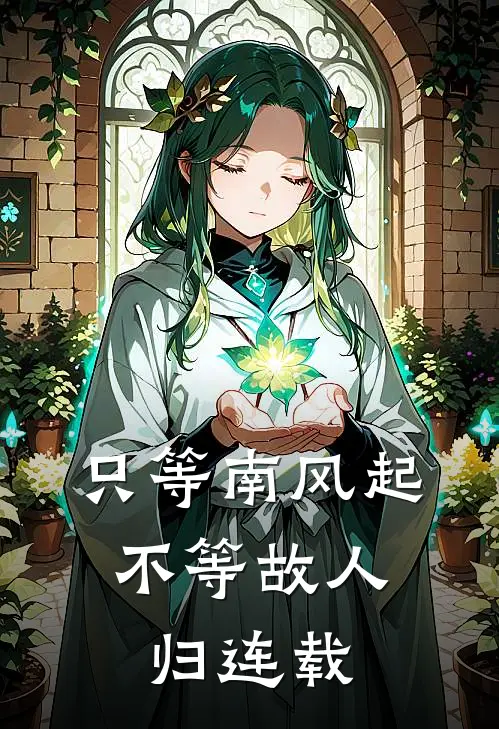 只等南风起，不等故人归连载
