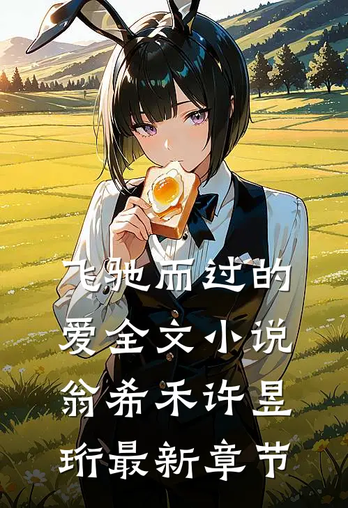 飞驰而过的爱全文小说翁希禾许昱珩最新章节
