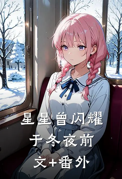 星星曾闪耀于冬夜前文+番外