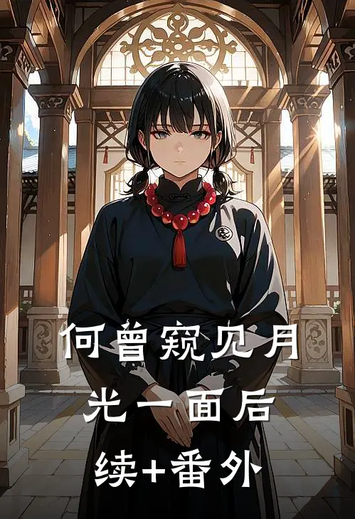 何曾窥见月光一面后续+番外