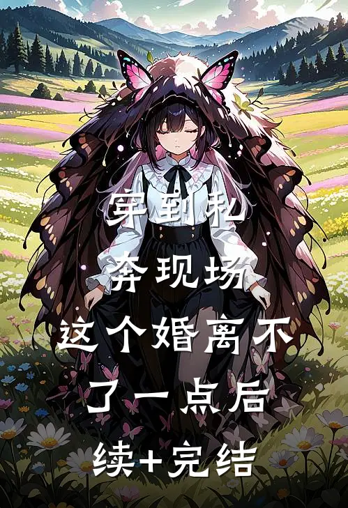 穿到私奔现场，这个婚离不了一点后续+完结