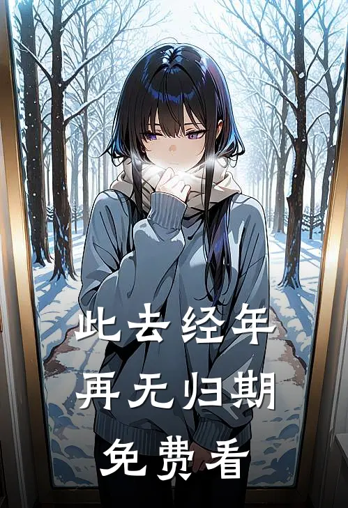 此去经年再无归期免费看