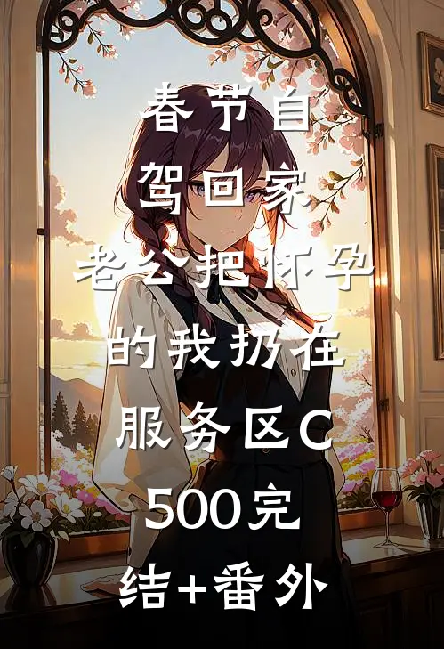 春节自驾回家，老公把怀孕的我扔在服务区C500完结+番外
