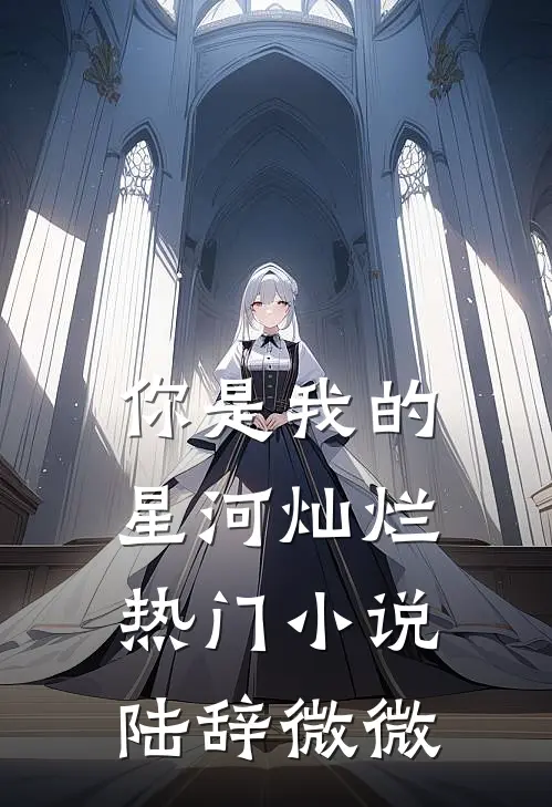 你是我的星河灿烂热门小说陆辞微微