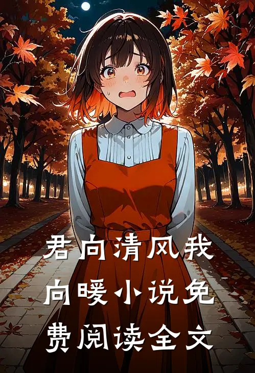 君向清风我向暖小说免费阅读全文