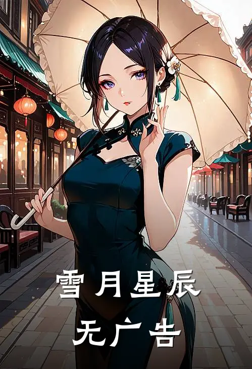 雪月星辰无广告
