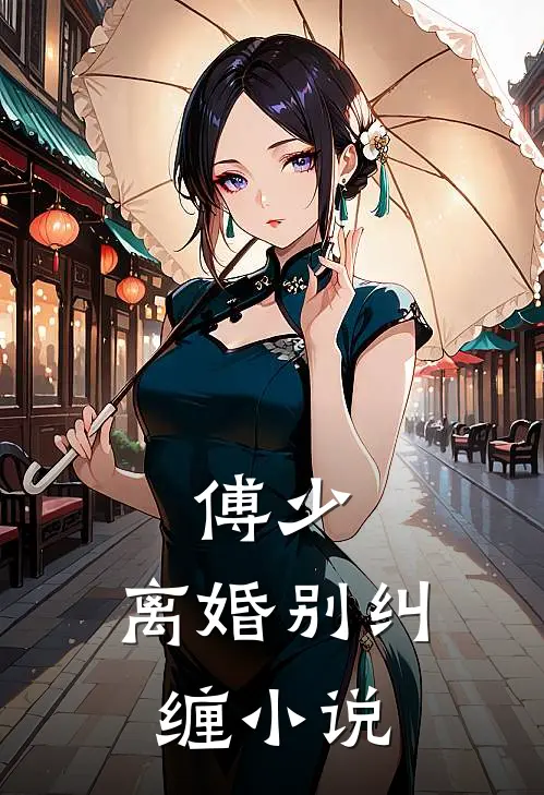 傅少，离婚别纠缠小说