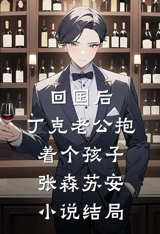 回国后，丁克老公抱着个孩子张森苏安小说结局