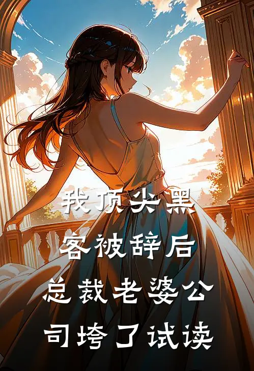 我顶尖黑客被辞后，总裁老婆公司垮了试读