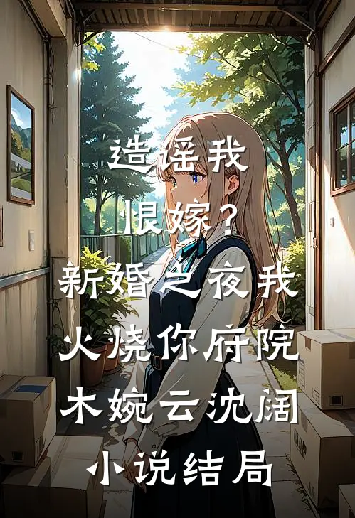 造谣我恨嫁？新婚之夜我火烧你府院木婉云沈阔小说结局