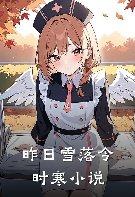 昨日雪落今时寒小说