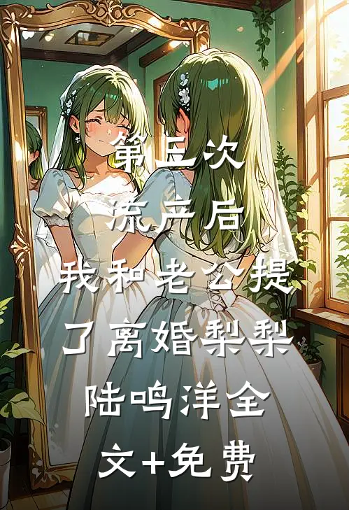 第三次流产后，我和老公提了离婚梨梨陆鸣洋全文+免费