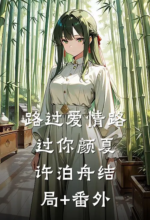 路过爱情路过你颜夏许泊舟结局+番外