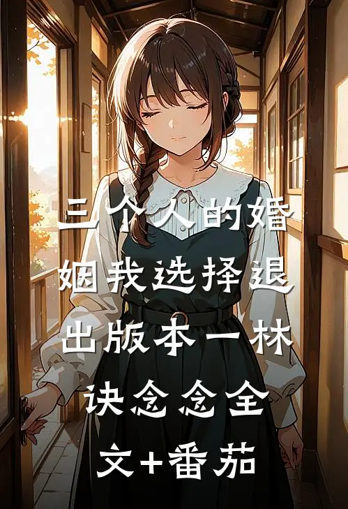 三个人的婚姻我选择退出 版本一林诀念念全文+番茄