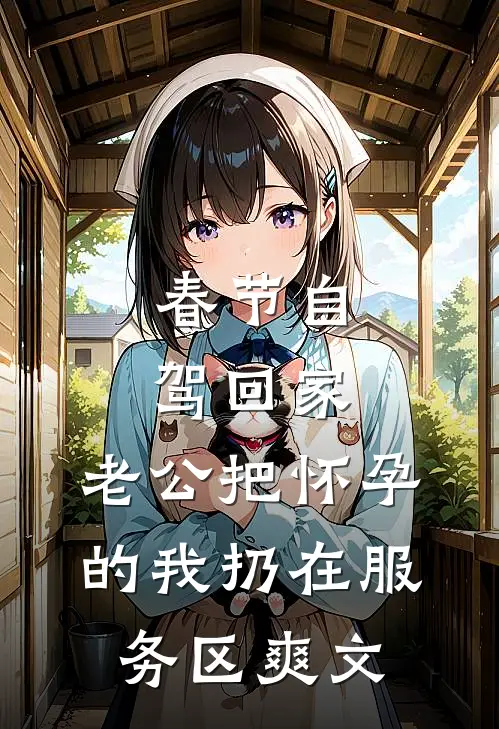 春节自驾回家，老公把怀孕的我扔在服务区爽文