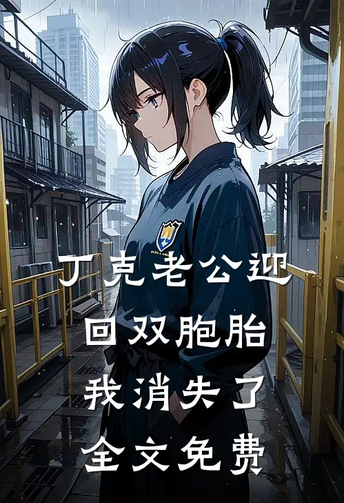 丁克老公迎回双胞胎，我消失了全文免费