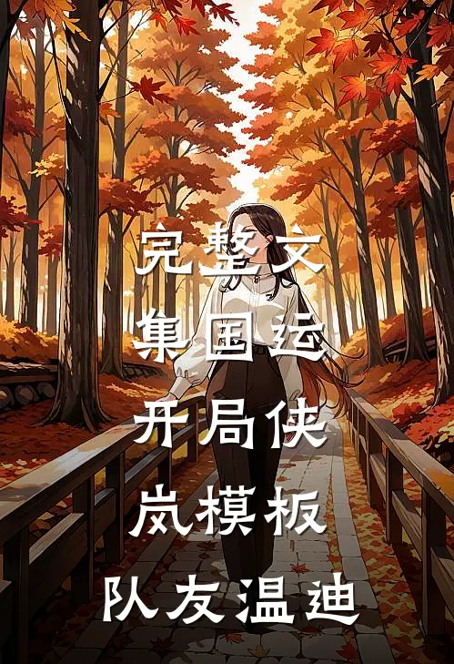 完整文集国运：开局侠岚模板，队友温迪
