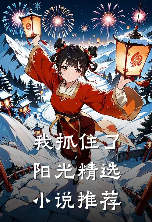 我抓住了阳光精选小说推荐