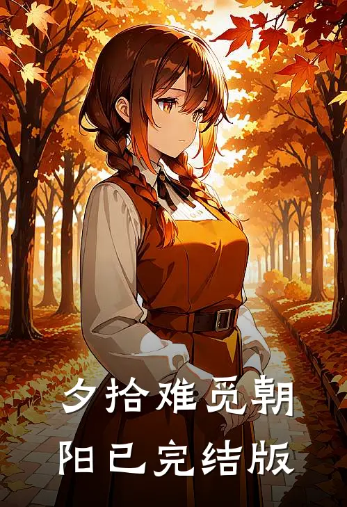 夕拾难觅朝阳已完结版