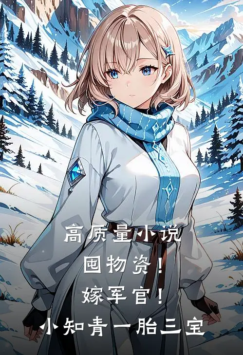 高质量小说囤物资！嫁军官！小知青一胎三宝