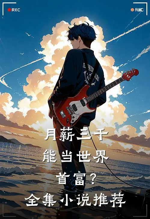 月薪三千，能当世界首富？全集小说推荐
