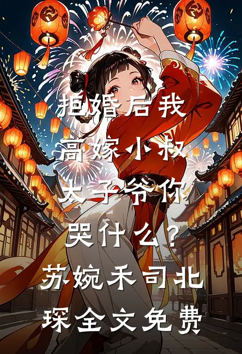 拒婚后我高嫁小叔，太子爷你哭什么？苏婉禾司北琛全文免费