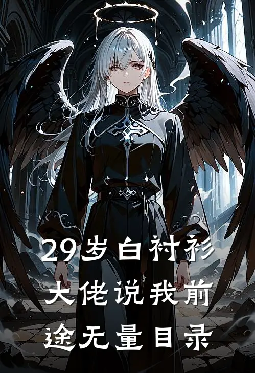 29岁白衬衫，大佬说我前途无量目录