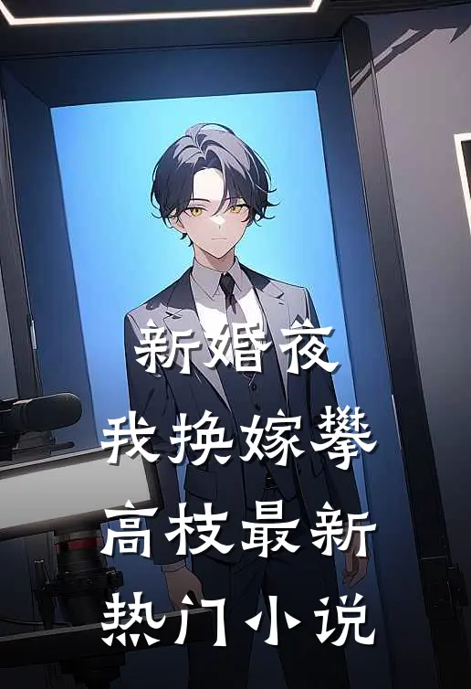 新婚夜，我换嫁攀高枝最新热门小说