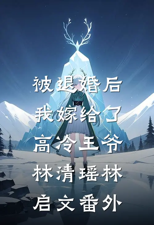 被退婚后，我嫁给了高冷王爷林清瑶林启文 番外