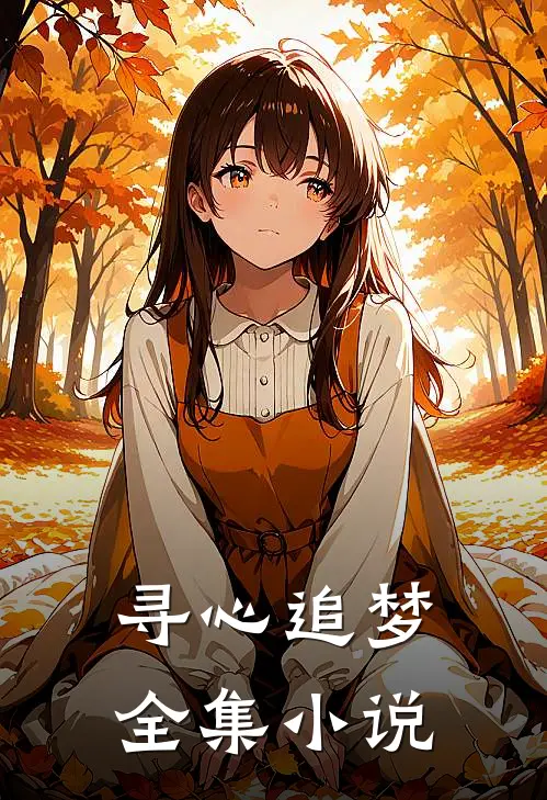 寻心追梦全集小说